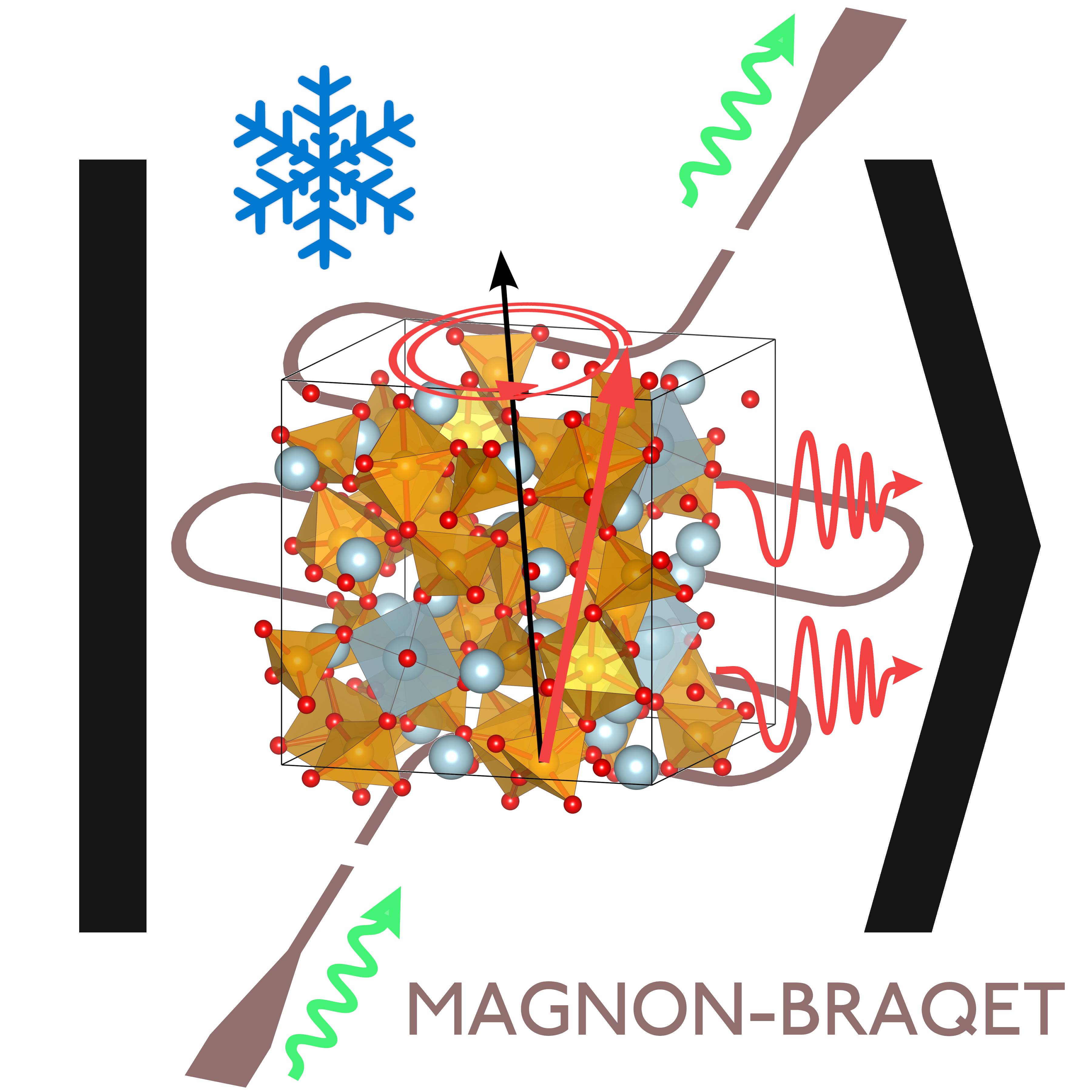  MAGNON-BRAQET 